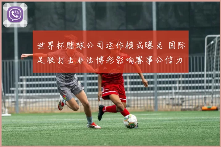 世界杯赌球公司运作模式曝光 国际足联打击非法博彩影响赛事公信力