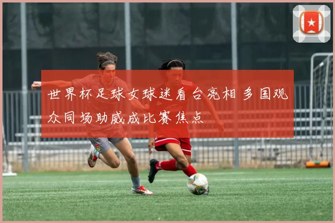 世界杯足球女球迷看台亮相 多国观众同场助威成比赛焦点